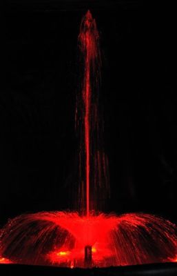 1"十分に真鍮の花の花水噴水のノズルのジェット機水池Sprilker