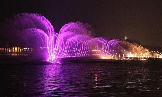 ステンレス鋼のカモメの振動DN50ダンスの噴水のノズル