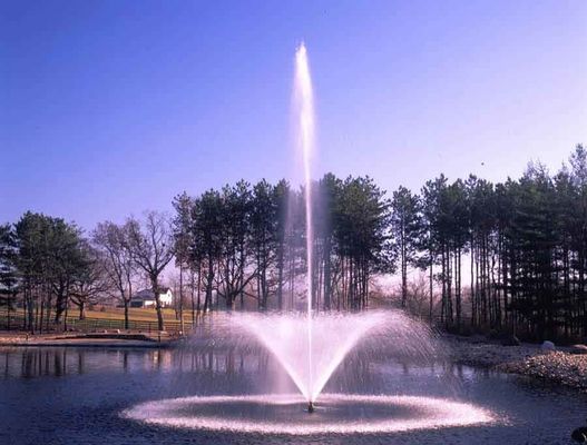 グラフィック・デザインの庭800mmのステンレス鋼水噴水