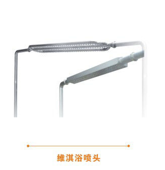 プールの付属品ISO9001のステンレス鋼の滝のジェット機