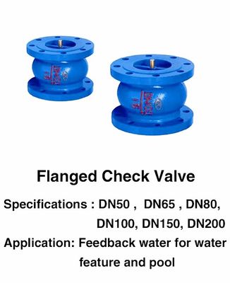プールの噴水の付属品はDN25 1インチを逆止弁フランジを付けたようになりました精製しました