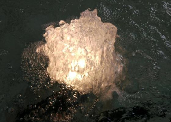1つのインチのダンスの噴水のノズル