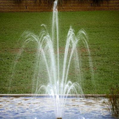 新しく熱い販売によって2"は真鍮の調節可能な層3つ花水噴水のジェット機 ノズルが開花する