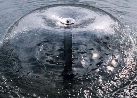 DN15 1/2」十分に真鍮水鐘の噴水のノズル